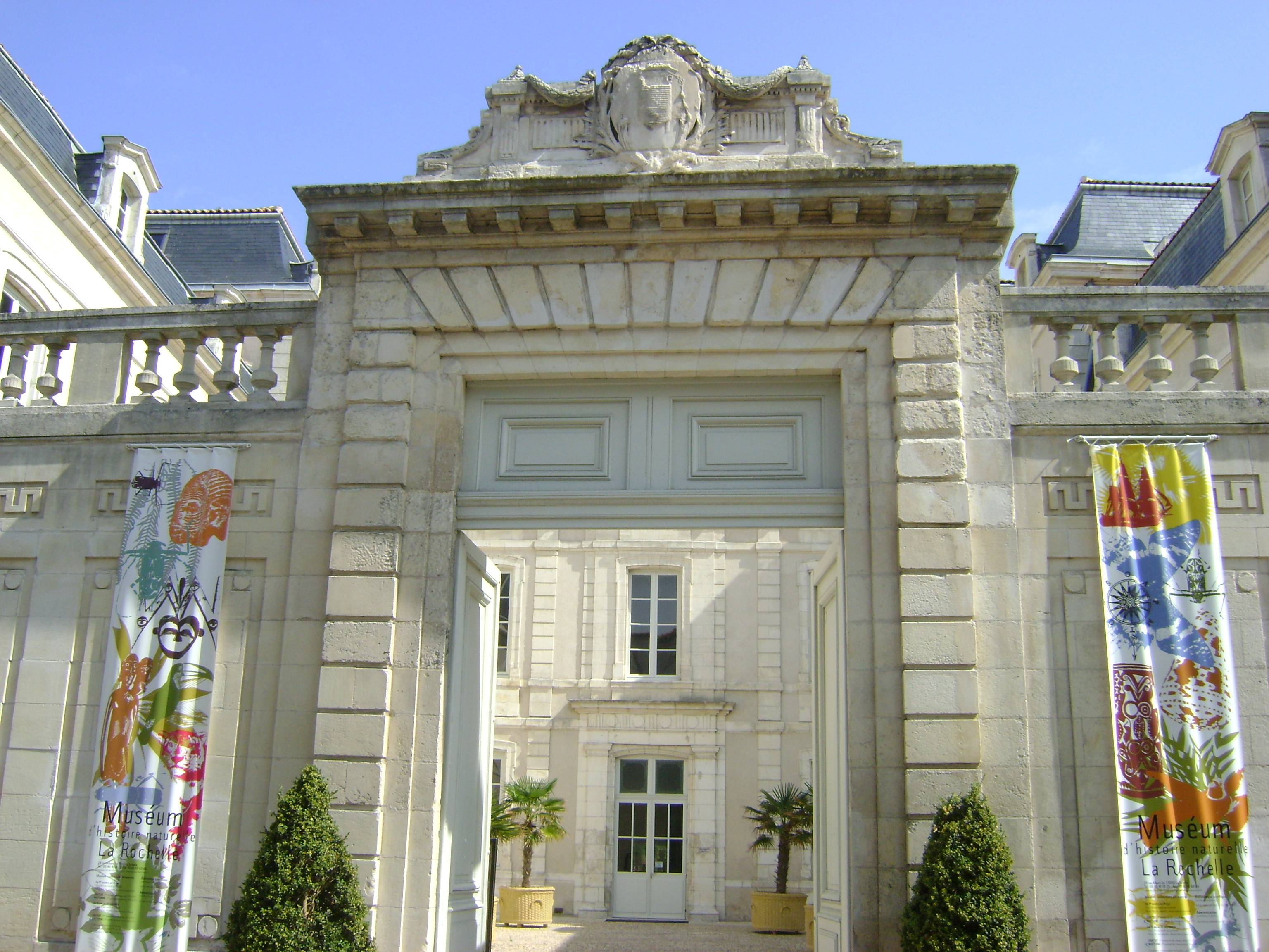 Muséum d'histoire naturelle La rochelle