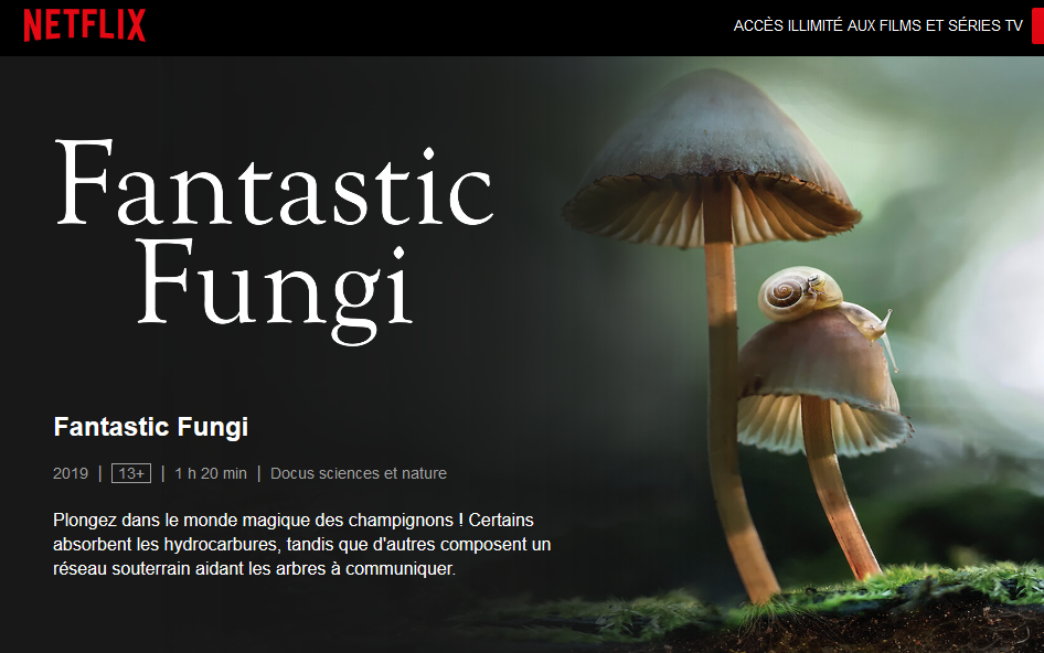 Fantastic Fungi Netflix